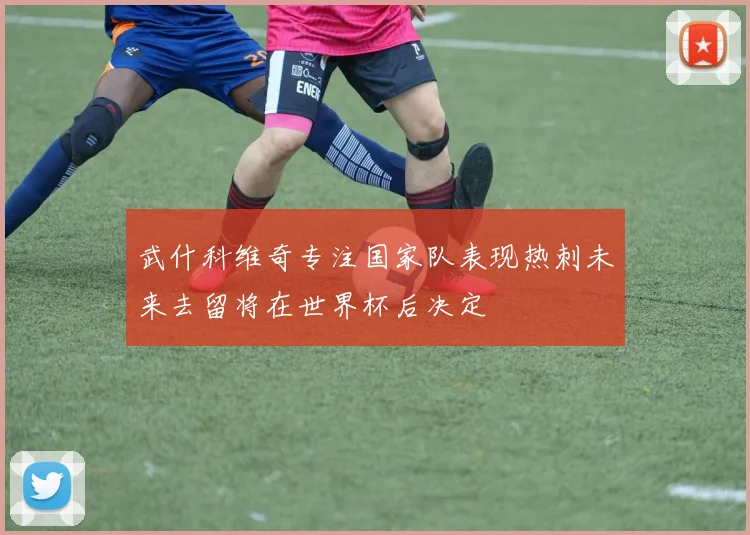 武什科维奇专注国家队表现热刺未来去留将在世界杯后决定