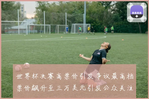 世界杯决赛高票价引发争议最高档票价飙升至三万美元引发公众关注